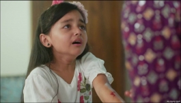 Pandya Store - 7th May 2024